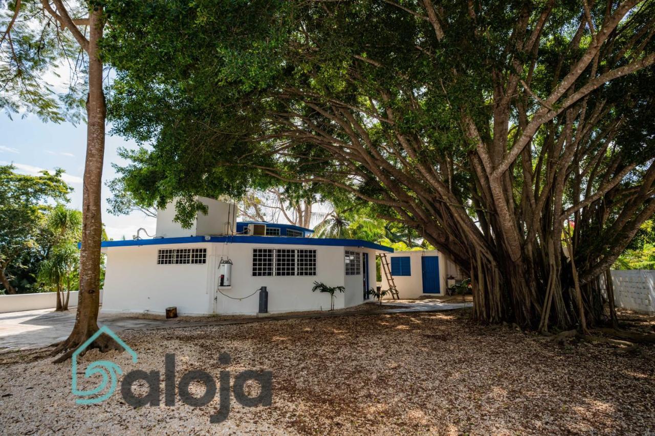 Villa Xtohil With Private Access To The Magic 7 Colors Lagoon Bacalar Exterior foto