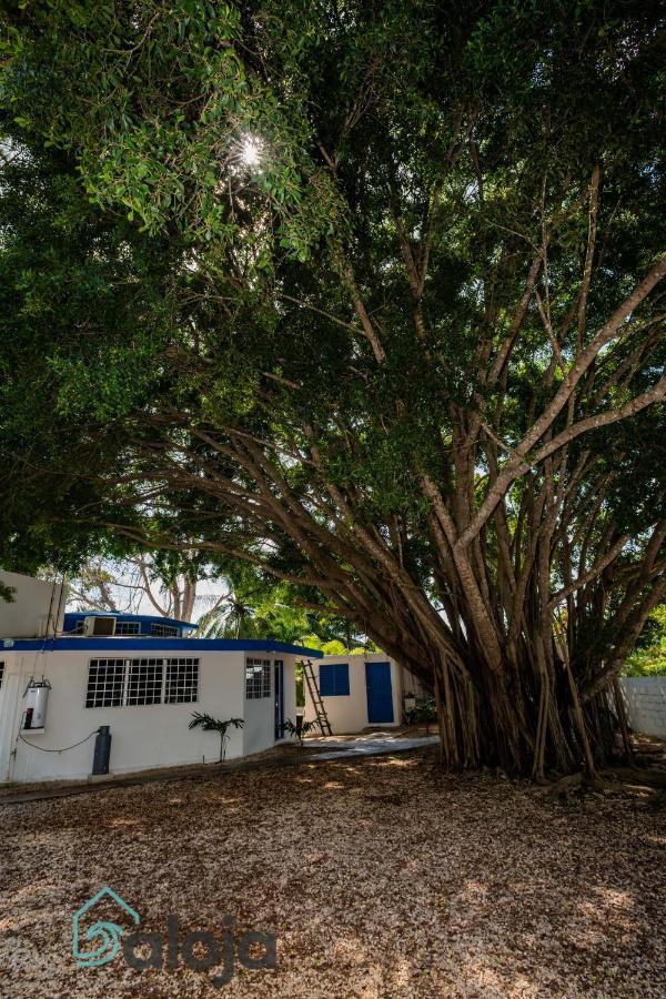 Villa Xtohil With Private Access To The Magic 7 Colors Lagoon Bacalar Exterior foto