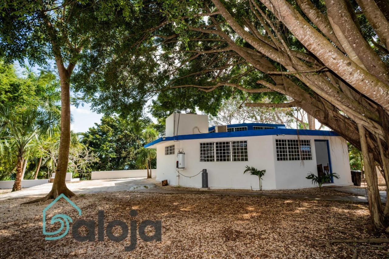 Villa Xtohil With Private Access To The Magic 7 Colors Lagoon Bacalar Exterior foto